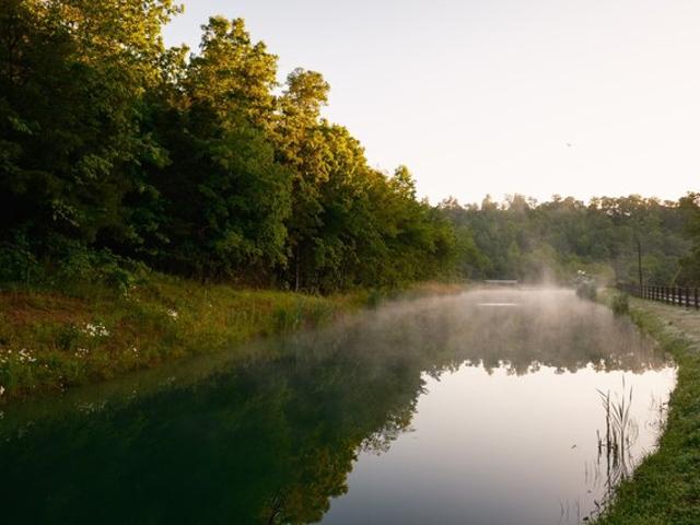 Land for sale in Tennessee
