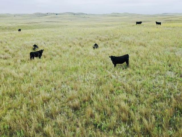 Land for sale in Nebraska