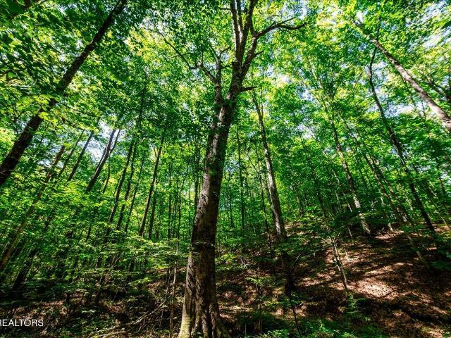 Land for sale in Tennessee