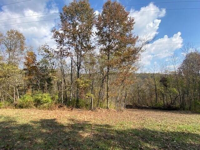 Farm for sale in Brooksville, Bracken County