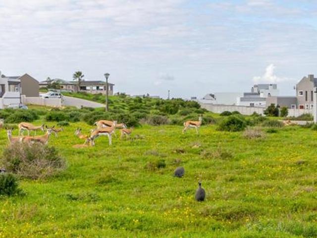 Land for sale in Western Cape