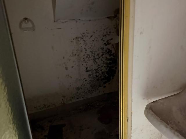 House for sale in Avondale, Roselawn