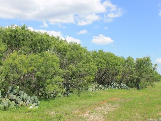 Farm for sale in Wilson, Texas