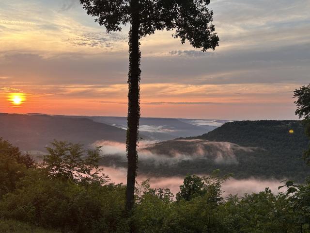 Land for sale in Tennessee