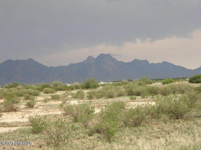 Land for sale in Dona Ana, New Mexico