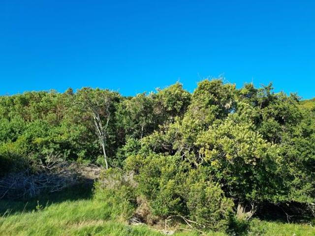 Land for sale in Cape St Francis, Eastern Cape