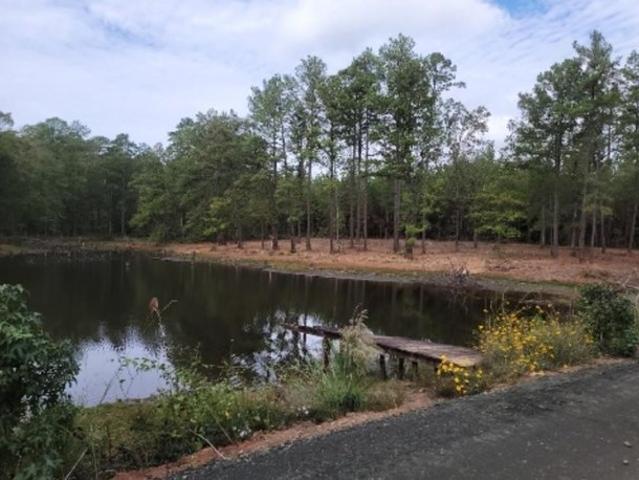 Land for sale in Sabine, Texas
