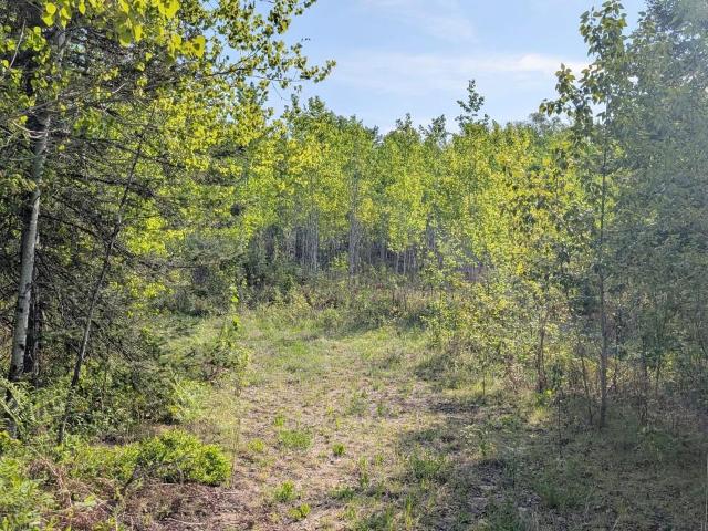 Land for sale in Minnesota