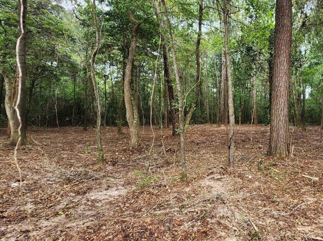 Land for sale in Jefferson, Texas