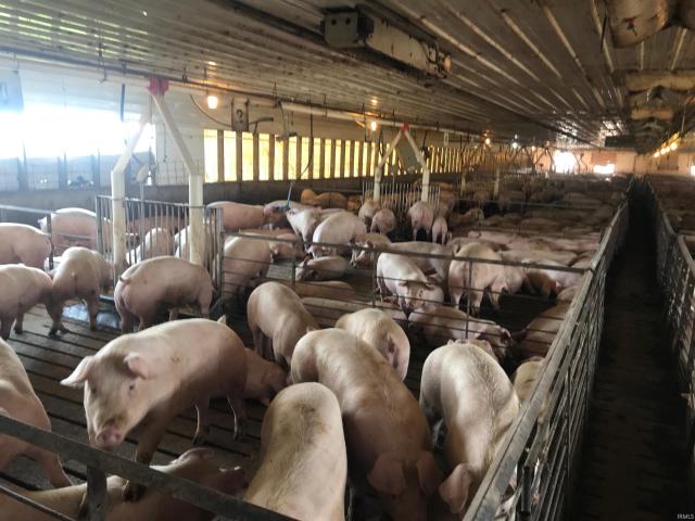 Commercial for sale in Gibson, Indiana