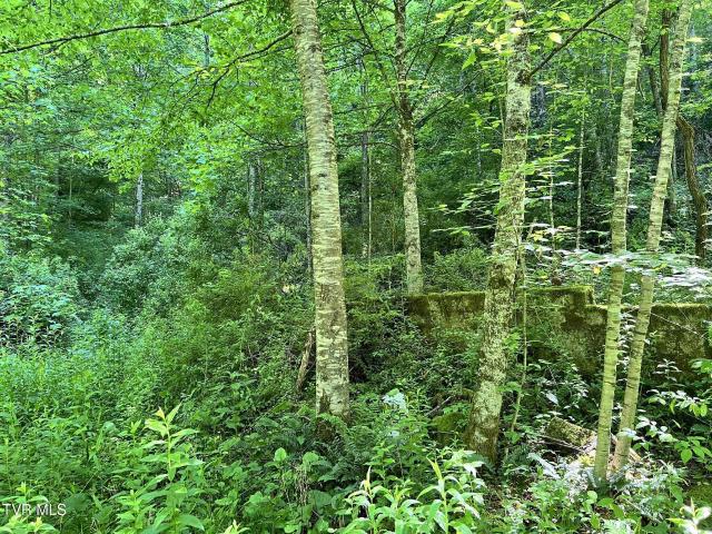 Land for sale in Virginia