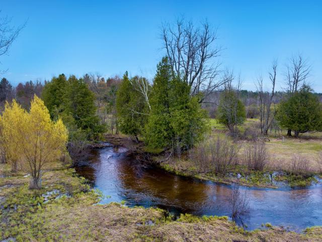 House for sale in Michigan
