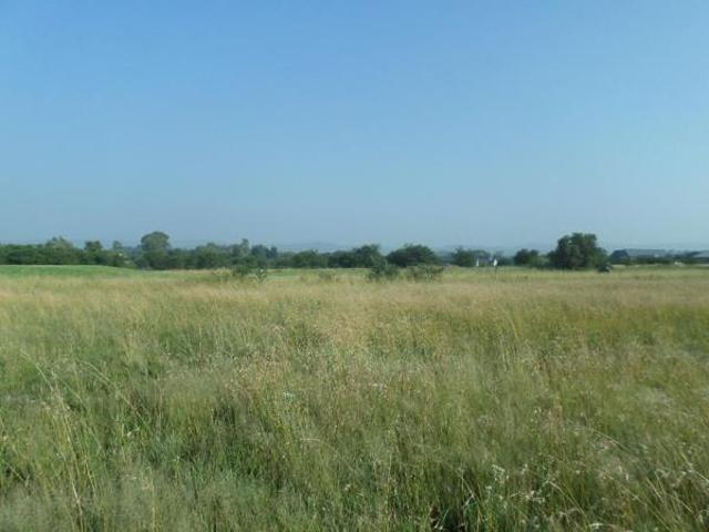 Land for sale in Koppies, Free State