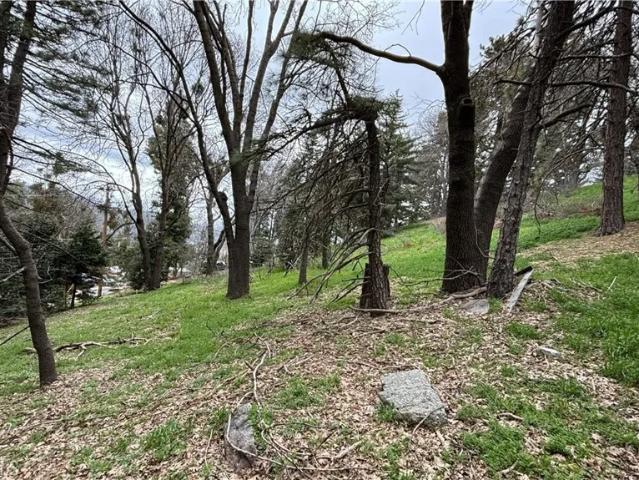 Land for sale in Cedarpines Park, California