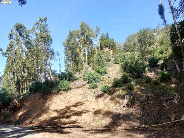 Land for sale in Oakland Land for sale in Oakland