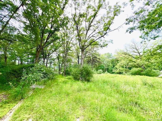 Commercial for sale in Callicoon, New York