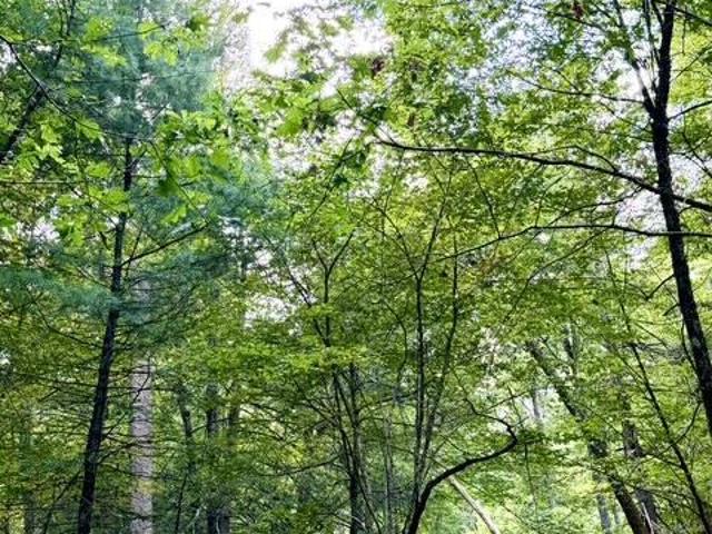 Land for sale in New York