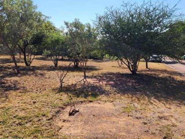Land for sale in Limpopo