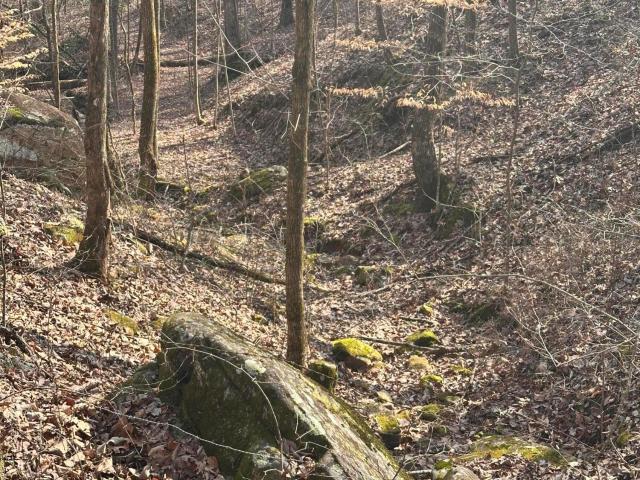 Land for sale in Tennessee