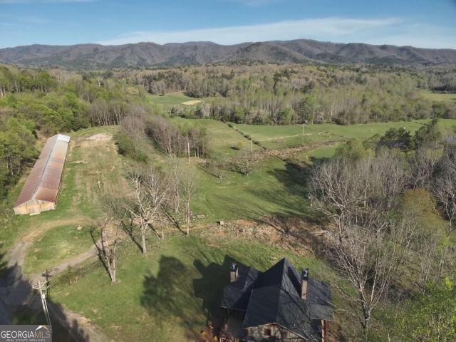 Land for sale in Blue Ridge, Fannin County