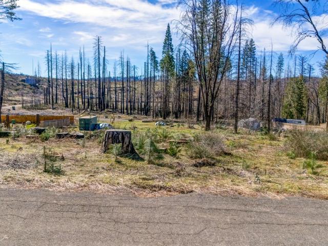 Land for sale in Grizzly Flats, California