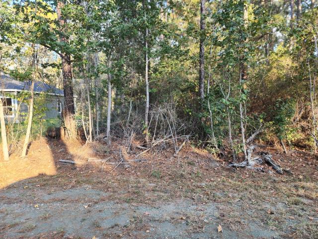 Land for sale in Jasper, Texas