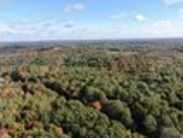 Land for sale in Freetown, Indiana