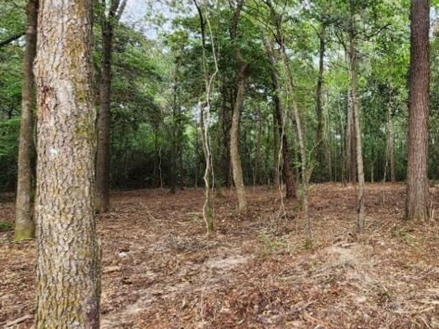 Land for sale in Jefferson, Texas