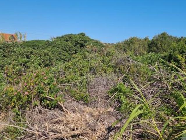 Land for sale in Port Alfred, Ndlambe Local Municipality