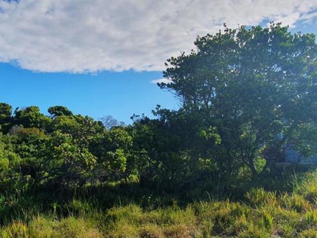 Land for sale in Cape St Francis, Eastern Cape