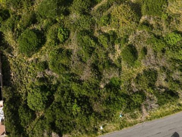 Land for sale in Bushmans River Mouth, Eastern Cape