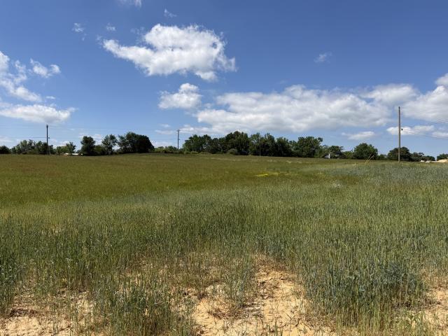 Land for sale in Tennessee