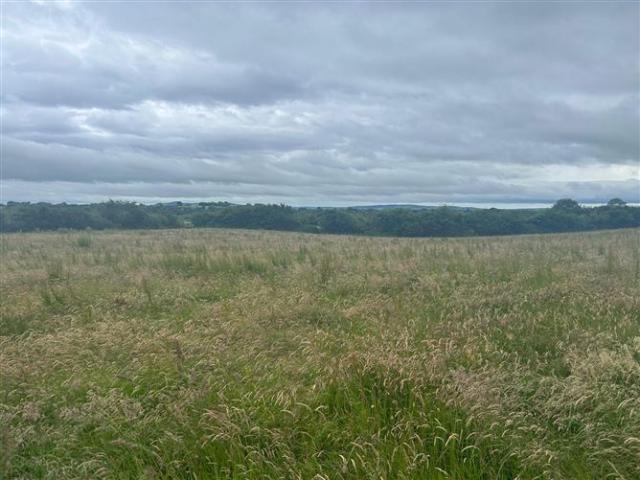 Bungalow for sale in Adare, South Tipperary