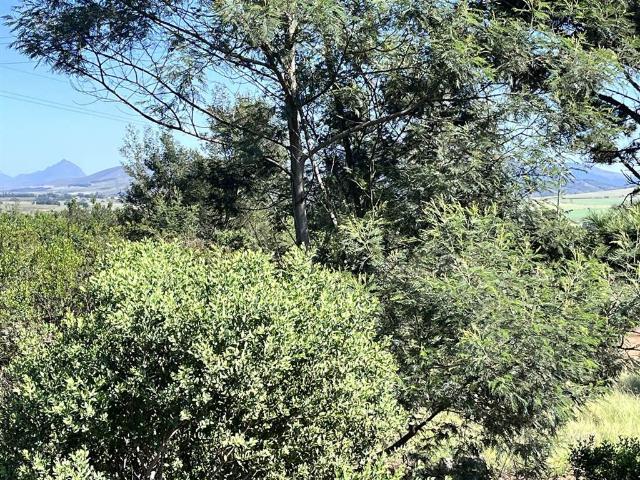 Farm for sale in Groot Brak Rivier, Western Cape