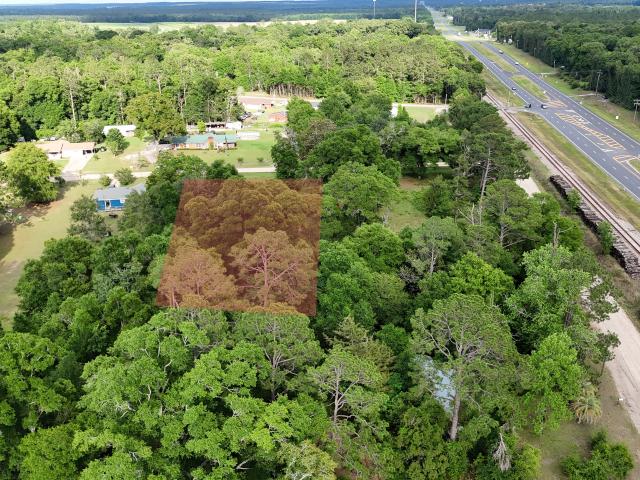 Land for sale in Bainbridge, Georgia