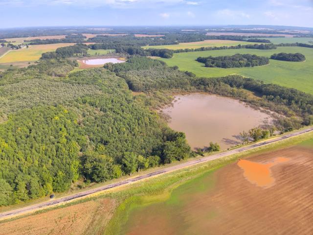Land for sale in Leighton, Colbert County