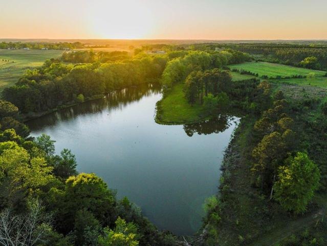 Land for sale in Geneva, Alabama