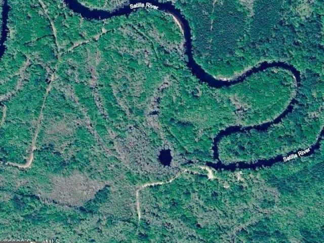 Land for sale in Nahunta, Georgia