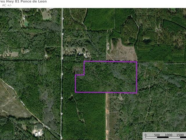 Land for sale in Ponce de Leon, Holmes County