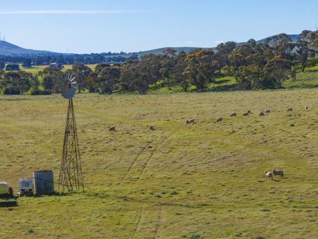 Cottage for sale in Goyder, South Australia