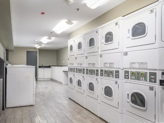 Apartment for rent in Arva, Ontario