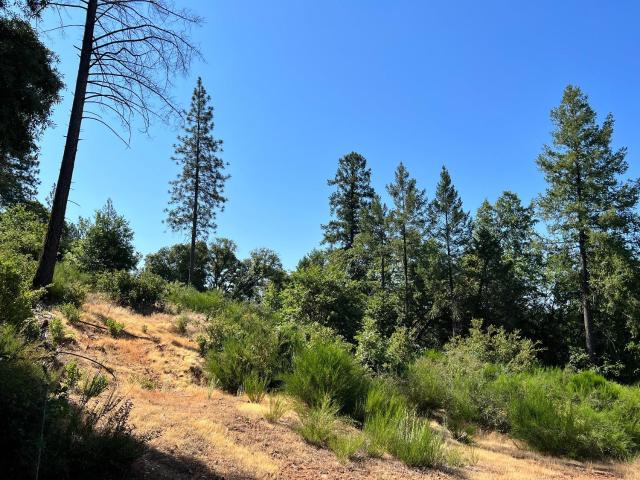 Land for sale in Georgetown, California