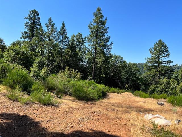 Land for sale in Georgetown, California