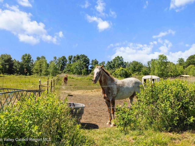 Farm for sale in Germantown, New York