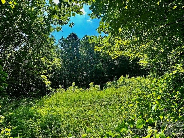 Land for sale in Saluda, North Carolina