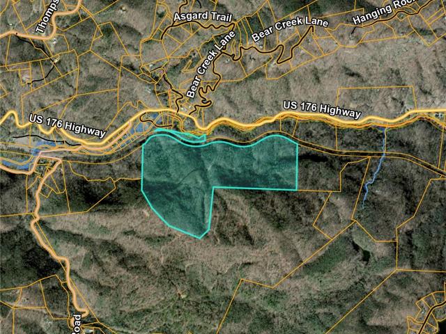 Land for sale in Saluda, North Carolina