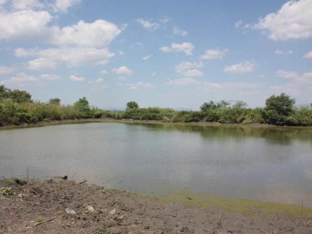 Farm for sale in Hartbeespoort Dam Nature Reserve, North West
