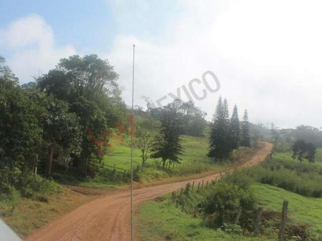 Terreno en venta en San Fernando, Chiapas