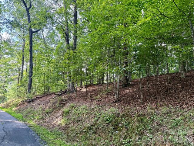 Land for sale in Marshall, North Carolina