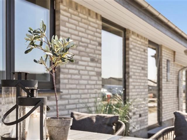 Hus til leje i Odense, Odense Kommune